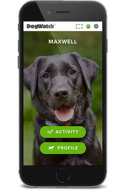 DogWatch Hidden Fence of the Midwest, Inc., Chisago City, Minnesota | SmartFence WebApp Image